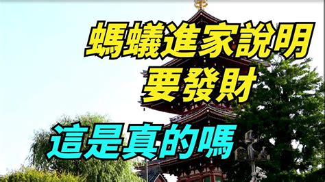 螞蟻進屋 四門問題